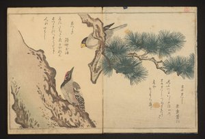 grubodziób i dzięcioł autorstwa Kitagawa Utamaro