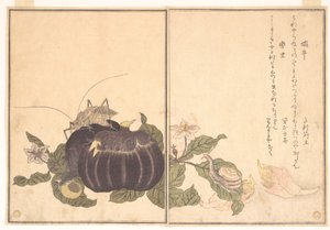  autorstwa Kitagawa Utamaro