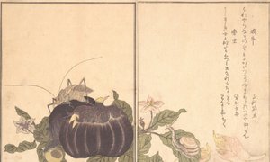 Ślimak w wachlarzu d S, ślimak w rachunku. . . , 1788. autorstwa Kitagawa Utamaro