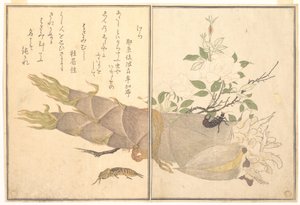 Turkuć podjadek (Kera); skorek (Hasami-mushi), z Ilustrowanej księgi pełzających stworzeń (Ehon mushi erami)