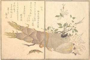 Kret Cricket Kera, Skorek, Hasami-mushi..., 1788. autorstwa Kitagawa Utamaro