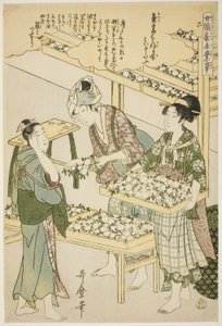 nr 6 (roku), z serii „Kobiety zajmujące się serownictwem (Joshoku kaiko tewaza-gusa)” autorstwa Kitagawa Utamaro