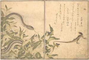  autorstwa Kitagawa Utamaro