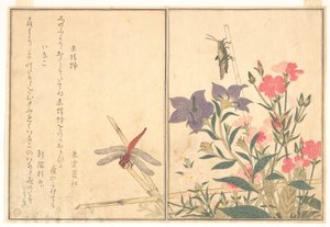 Czerwona ważka (Akatonbo); szarańcza (Inago), z książki obrazkowej „Pełzające stworzenia” (Ehon mushi erami) autorstwa Kitagawa Utamaro