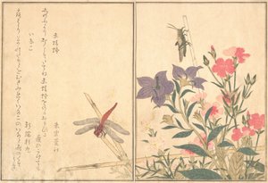 Czerwona ważka Akatonbo, Locust Inago..., 1788. autorstwa Kitagawa Utamaro