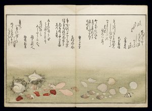 Shiohi no tsuto (Dary z odpływu), znany jako Księga Muszli, 1789 (kolorowy drzeworyt) autorstwa Kitagawa Utamaro