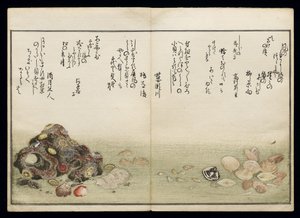 Shiohi no tsuto (Dary z odpływu), znany jako Księga Muszli, 1789 (kolorowy drzeworyt) autorstwa Kitagawa Utamaro