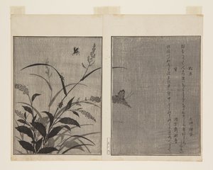 Tree Cricket (Matsumushi) i Firefly (Hotaru) (kolorowy drzeworyt) autorstwa Kitagawa Utamaro