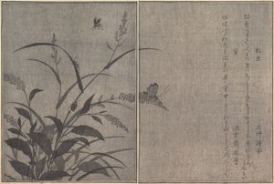 Drzewo świerszcz Matsumushi, Świetlik Hotaru..., 1788. autorstwa Kitagawa Utamaro