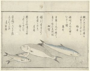 Cztery ryby autorstwa Kitao Masayoshi
