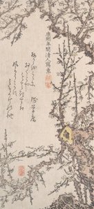 Plum Tree in Blossom, koniec XVIII-początek XIX wieku. autorstwa Kitao Shigemasa