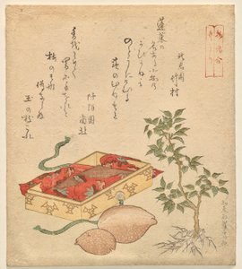 Tale of the Bamboo-Cutter, z serii Różne opowieści autorstwa Kitao Shigemasa