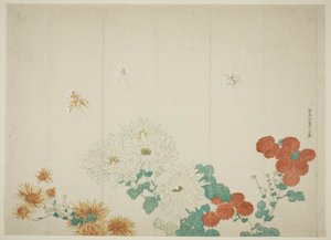 Trzy rodzaje chryzantem autorstwa Kitao Shigemasa