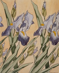Irys, 1898 autorstwa Koloman Moser