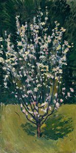 Kwitnące drzewko autorstwa Koloman Moser
