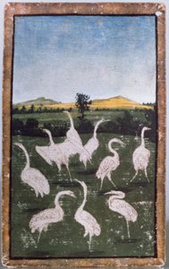 Czaple na polu, jedna z kart do gry przedstawiających sceny dworskiego sokoła, obszar Górnego Renu, ok. 1440-45 (pióro i atrament, wc) (zob. też 88300-04) autorstwa Konrad Witz
