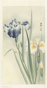 Irysy autorstwa Ohara Koson