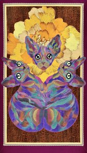 Kolorowy kwiat rasy Sphynx