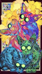 Świecące koty w stylu psychodelicznym autorstwa Kostyantin Malginov