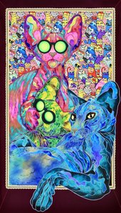 Rodzina psychodelicznych kotów