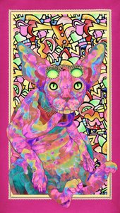 Kot rasy sphinx o psychodelicznym wyglądzie autorstwa Kostyantin Malginov