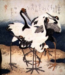 Pięć żurawi z białymi piórami w różnych pozach na mierzei piasku, z serii Trzy płatki, ok. 1816 (atrament) autorstwa Kubo Shumman