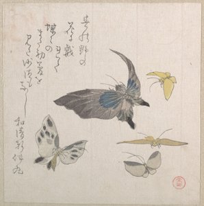  autorstwa Kubo Shunman