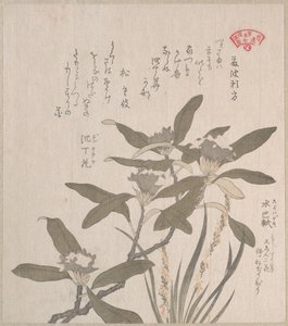  autorstwa Kubo Shunman