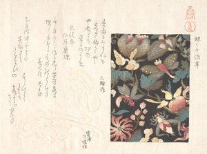 Design dla skóry i Netsuke, XIX wiek. autorstwa Kubo Shunman