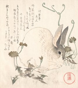Zając i Jaskier, prawdopodobnie 1820 r. autorstwa Kubo Shunman