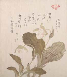 Kwiaty Hotei, XIX wiek. autorstwa Kubo Shunman