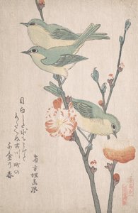 Japońskie białooki na gałęzi brzoskwini,..., ca. 1805-10.
