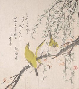 Japońskie białooki ze śliwką i wierzbą..., ca. 1810. autorstwa Kubo Shunman