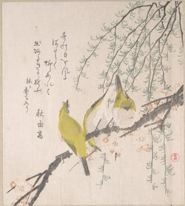  autorstwa Kubo Shunman