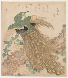 Of Three Pieces [Paw] (Mi hira no uchi) autorstwa Kubo Shunman
