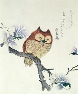 Sowa na gałęzi magnolii (tusz i kolor na papierze) autorstwa Kubo Shunman