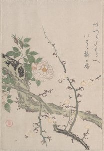  autorstwa Kubo Shunman