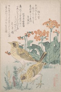  autorstwa Kubo Shunman