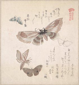 autorstwa Kubo Shunman