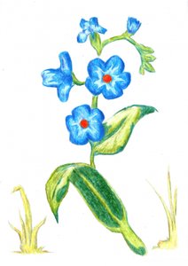  autorstwa Kulik