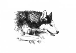  autorstwa Kulik