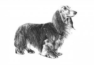  autorstwa Kulik