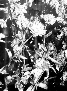  autorstwa Kulik