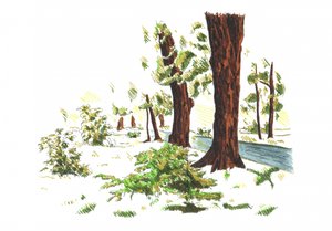  autorstwa Kulik