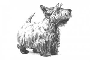 autorstwa Kulik