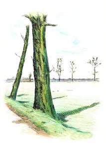  autorstwa Kulik