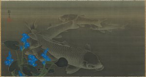 Karp, okres Edo, początek XIX wieku. autorstwa Kuroda Toko