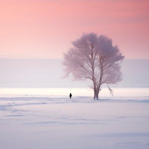 Sto czterdzieste piąte zdjęcie od czasu pojawienia się życia na Ziemi 2