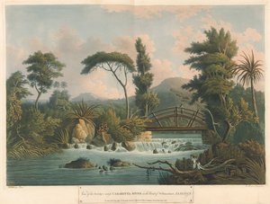 Rzeka Cabaritta, z Six Views in the Island of Jamaica, litografia I. Merigot autorstwa L. (after) Belanger