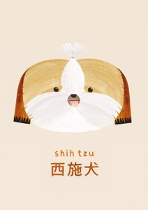 Shih tzu, 2019 autorstwa Léa Le Pivert